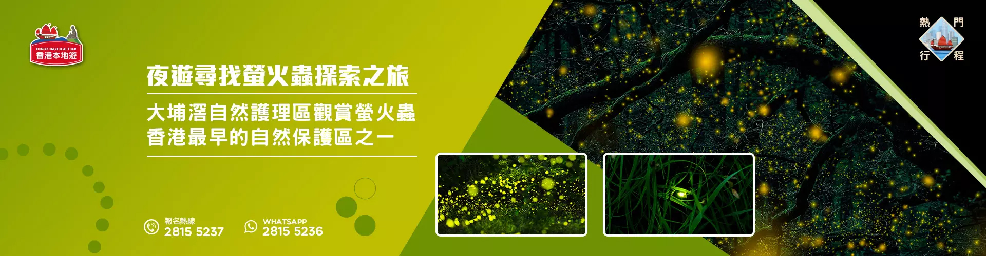 【自然風光】夜遊尋找螢火蟲探索之旅 (季節限量系列)