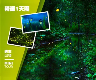【自然風光】夜遊尋找螢火蟲探索之旅 (季節限量系列)