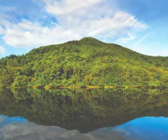 【農莊美食】天空之鏡「流水響水塘」、富琴有機火龍果生態農莊、【DIY茶粿班】花膠帶子宴 一天遊 (包團)