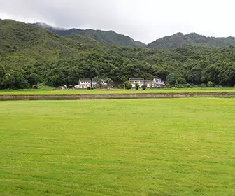 【自然風光】深涌草原、鴨洲島、塔門島 一天團 (包團)